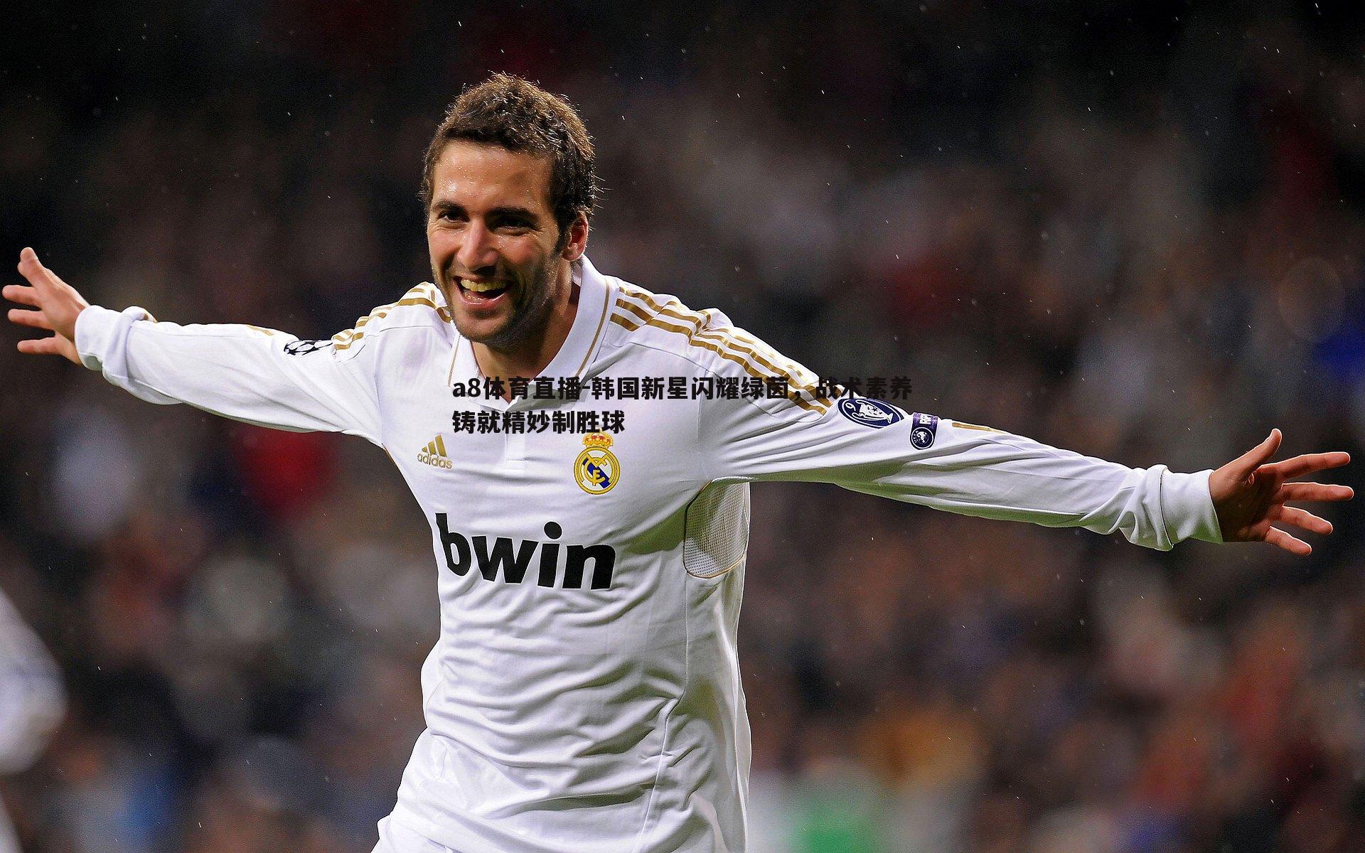 韩国新星闪耀绿茵，战术素养铸就精妙制胜球