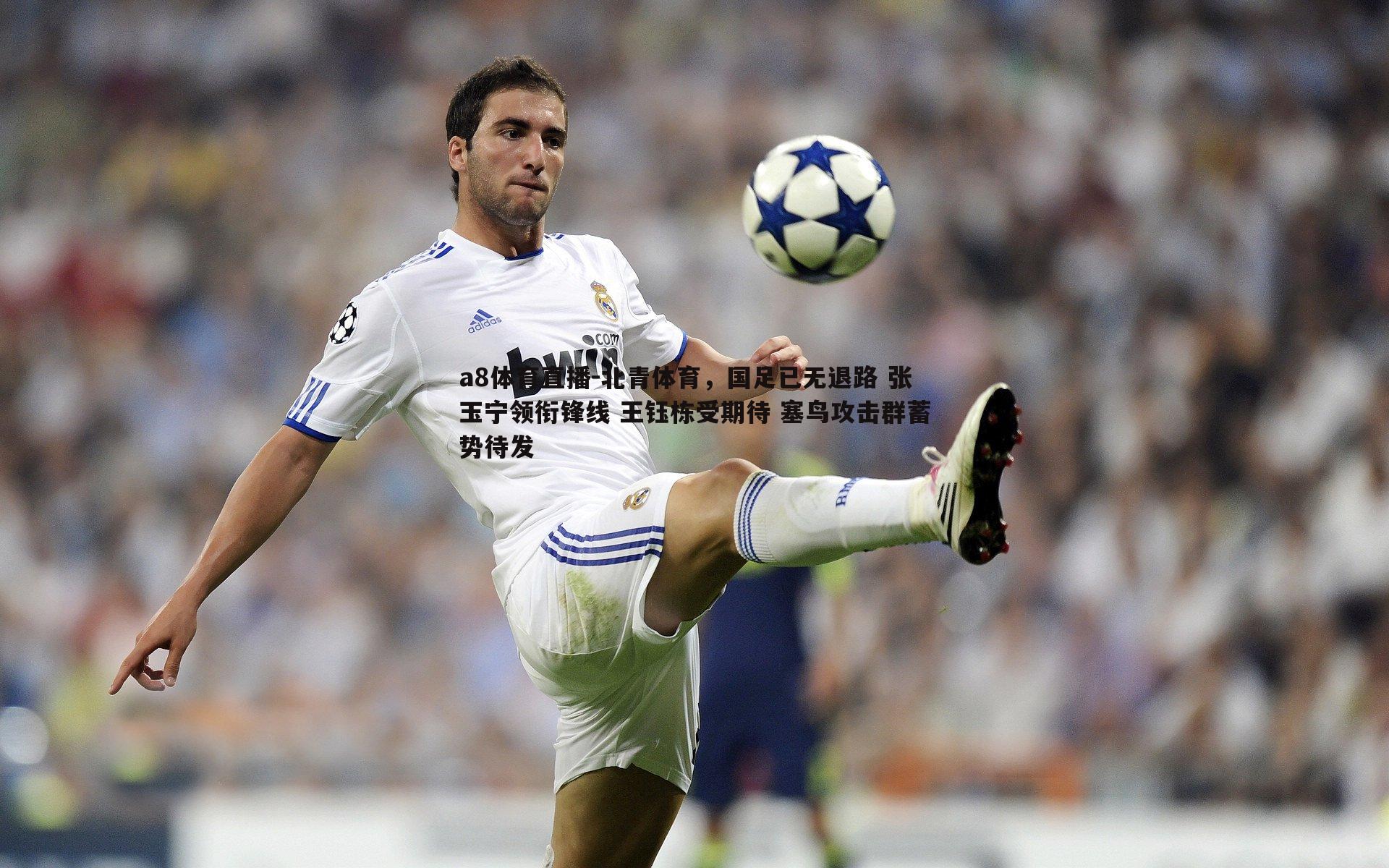 北青体育,国足已无退路 张玉宁领衔锋线 王钰栋受期待 塞鸟攻击群蓄势待发